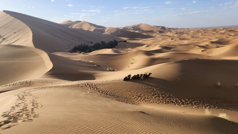 desert merzouga maroc