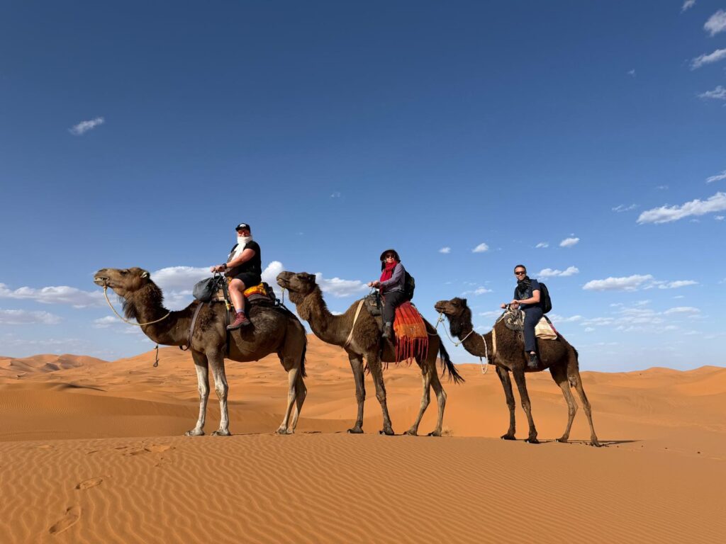 Merzouga - dromadaire