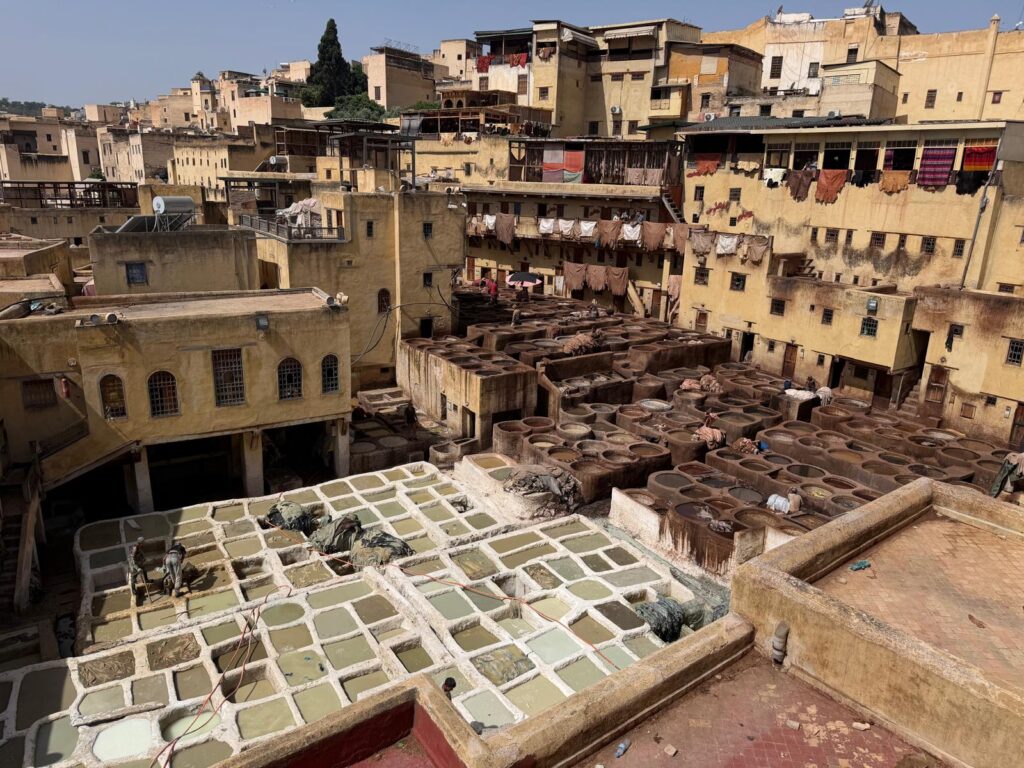 fès - tannerie