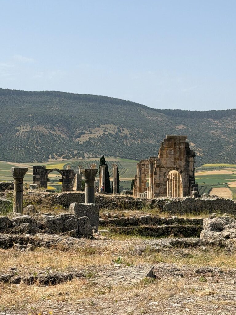 Volubilis 